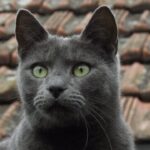 プロフィール写真について考える